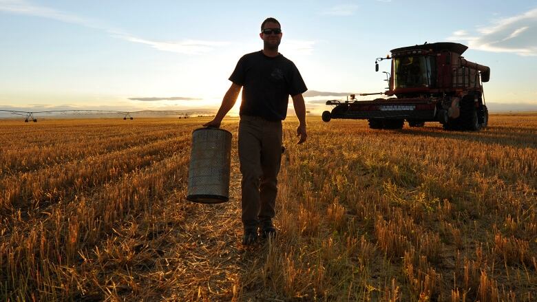 Man in field