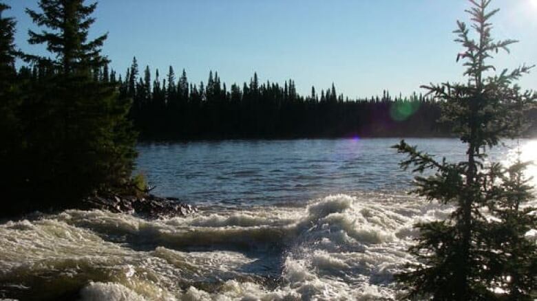 Churning water surrounded by trees.