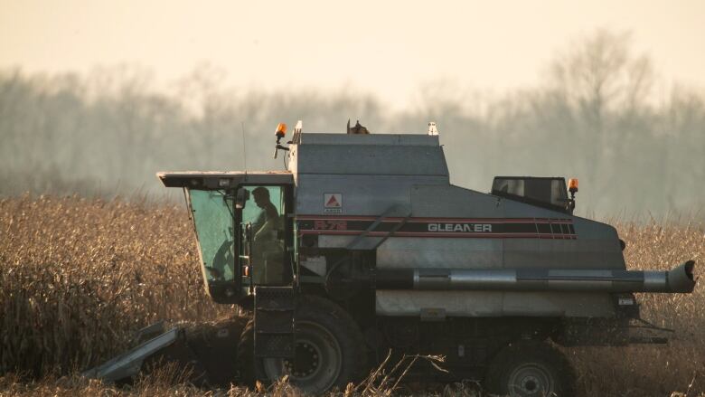 A farmer sits inside a corn harvester.