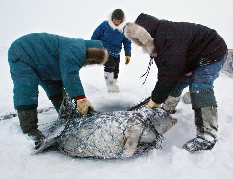 Two people bend over in the ice and snow to haul a net containing a dead seal.