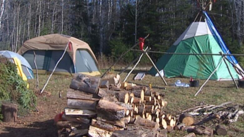 Campsite with two tents and a pile of logs 