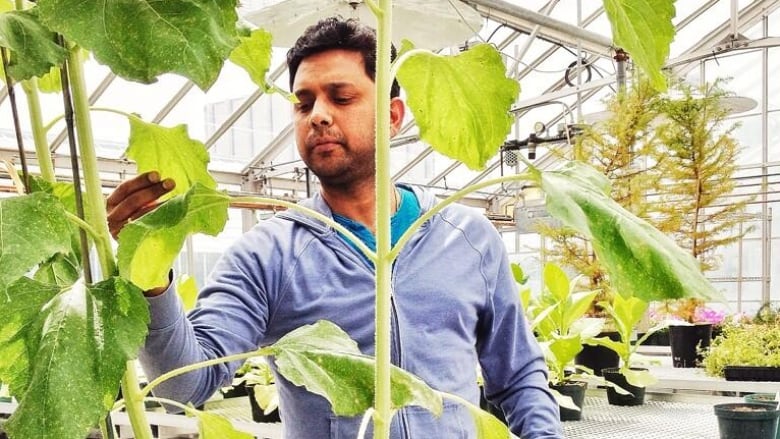 A man is pictured with plants.