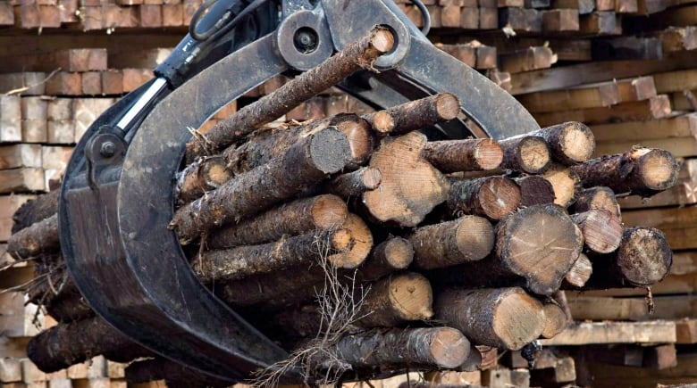 Equipment lifts logs.