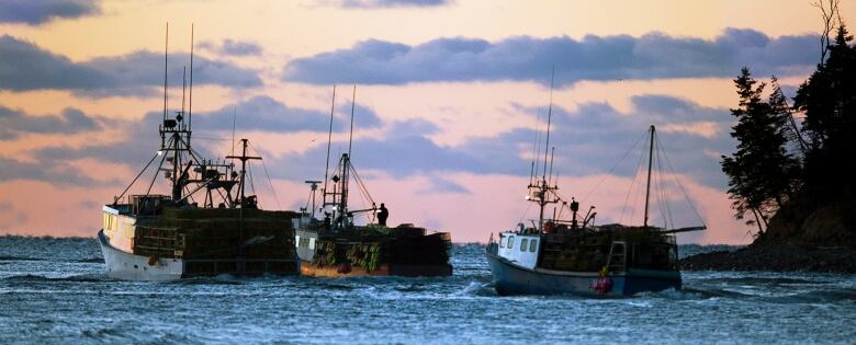 Three fishing boats on the water.