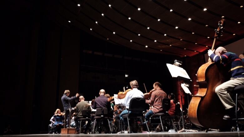 A symphony orchestra is pictured performing.