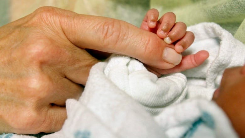 An adult hand touching a baby hand.