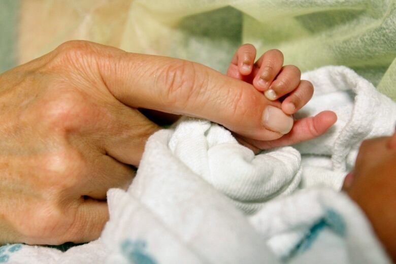 An adult hand touching a baby hand.