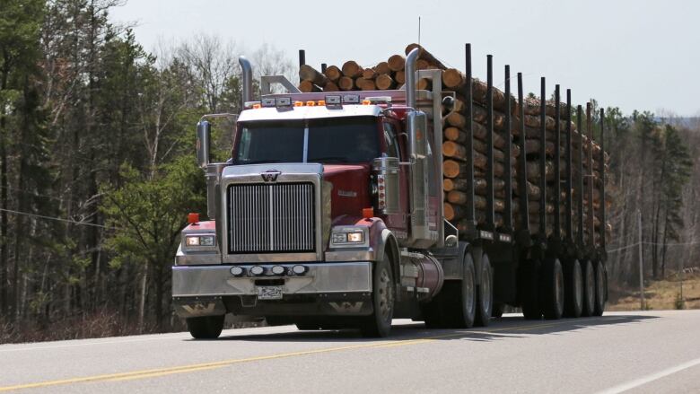 A logging truck drives through Hwy. 17 across Ontario