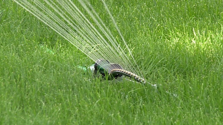 a sprinkler