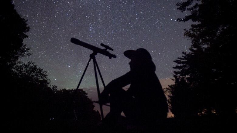 A stargazer waits for the Perseid meteor shower to begin near Bobcaygeon, Ont., on Aug. 12, 2015.