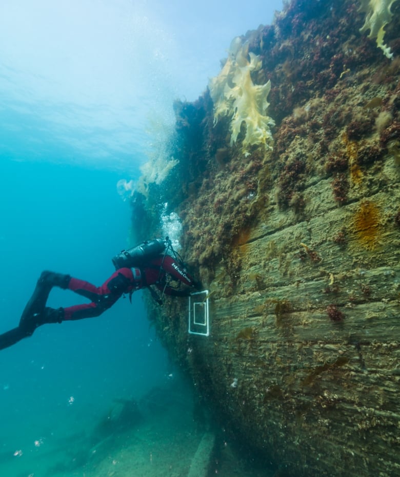 a person in a dive suit approaches a ship under water