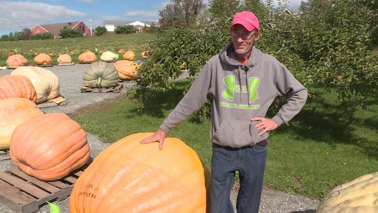 A man stands next to a row of giant pumpkins.