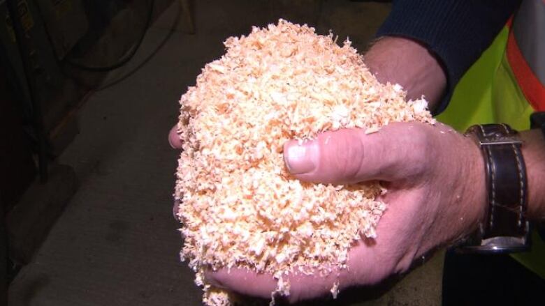 Hands cupping wood shavings.