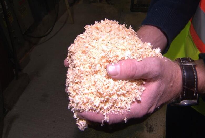 Hands cupping wood shavings.