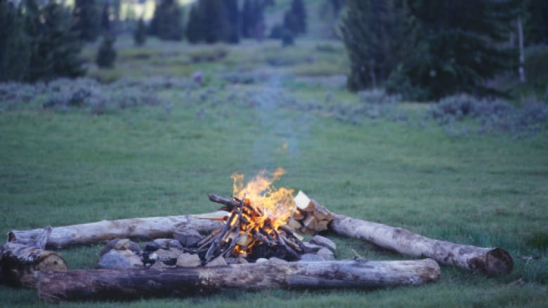 A small campfire built in a a ring of rocks in a clearing.