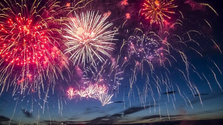 fireworks display in a night sky.