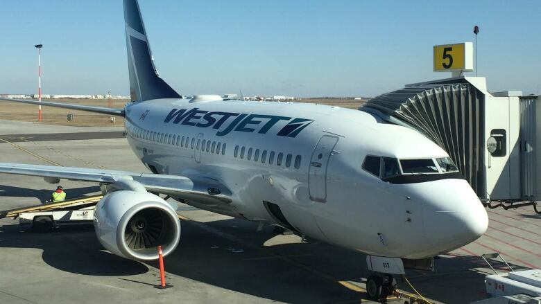 A WestJet Boeing plane sits at an airport gate.