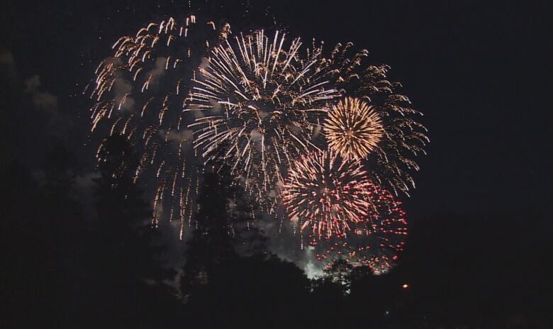 A photo from a fireworks display in Charlottetown, P.E.I. on July 2, 2015. 