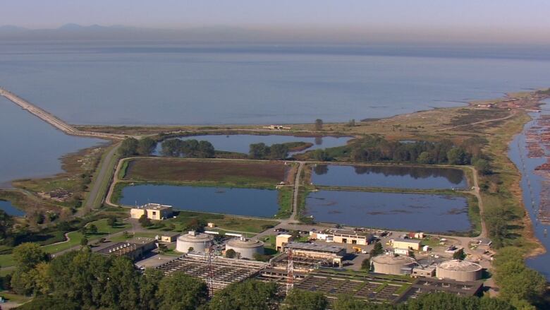 Four sledge lagoons sit in a park setting on the ocean, with a jetty. 