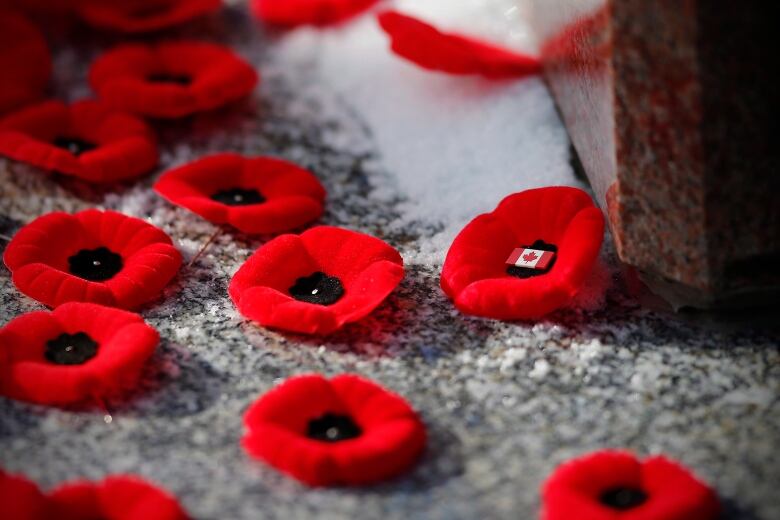 Poppies lie on the ground