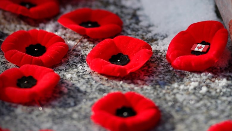 Poppies lie on the ground