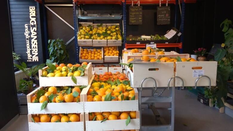 Oranges and lemons stacked in boxes in the Wefood market in Denmark.