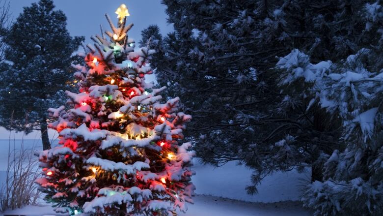 An outdoor Christmas tree with lights covered in snow.