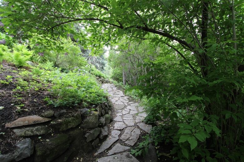 A stone pathway runs through thick foliage. 