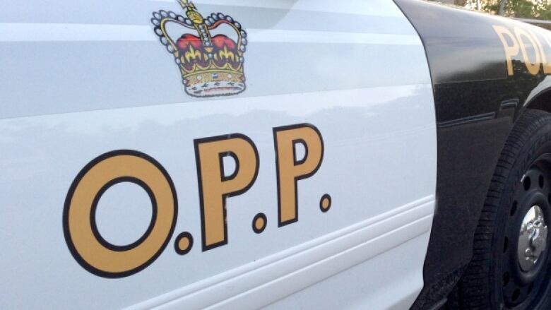 The side of an OPP police car.