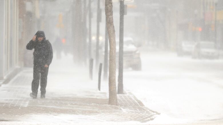 High winds and falling snow made for low visibility in Regina and southern Saskatchewan on Monday, March 6, 2017. 