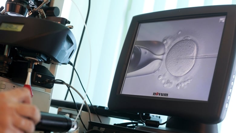 A  computer monitor is shown with an image of an egg being implanted with sperm.