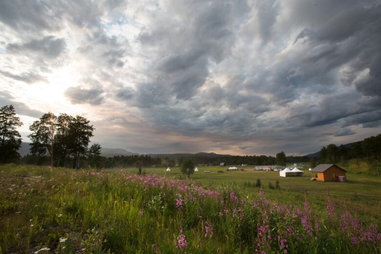 A dwelling appears in the background of a meadow with wildflowers and under a norther B.C. sky.