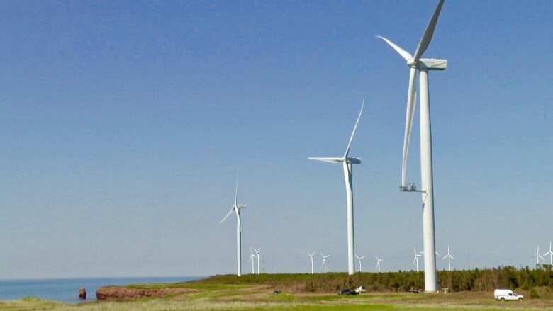 A line of turbines along the shore at a P.E.I. wind farm.