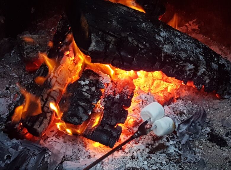 Marshmallows roasting over a campfire.