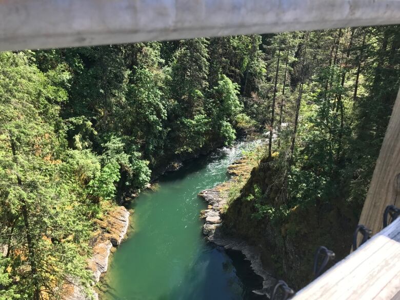 Looking down on a green river surrounded by trees. 