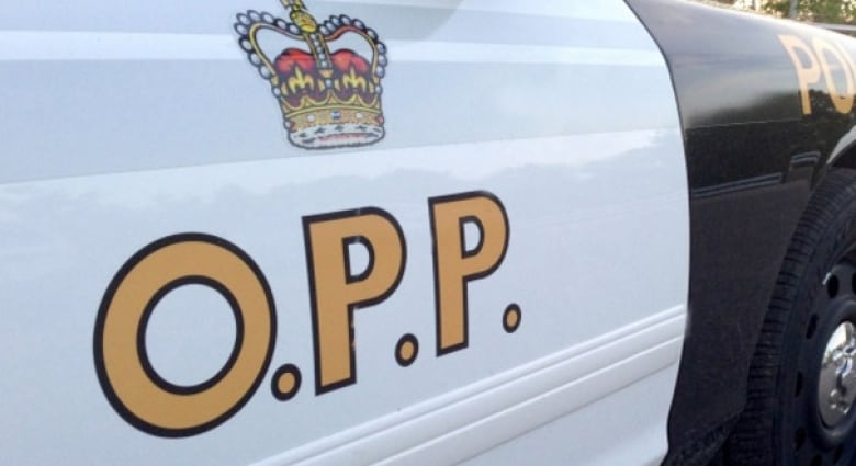 An Ontario Provincial Police logo on a police vehicle.