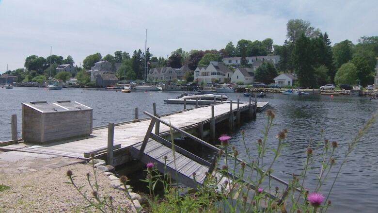 A wooden dock stretches into the water, with purple flowers in the foreground on the shore. A small speedboat is at the edge of the dock with large homes visible on the shore