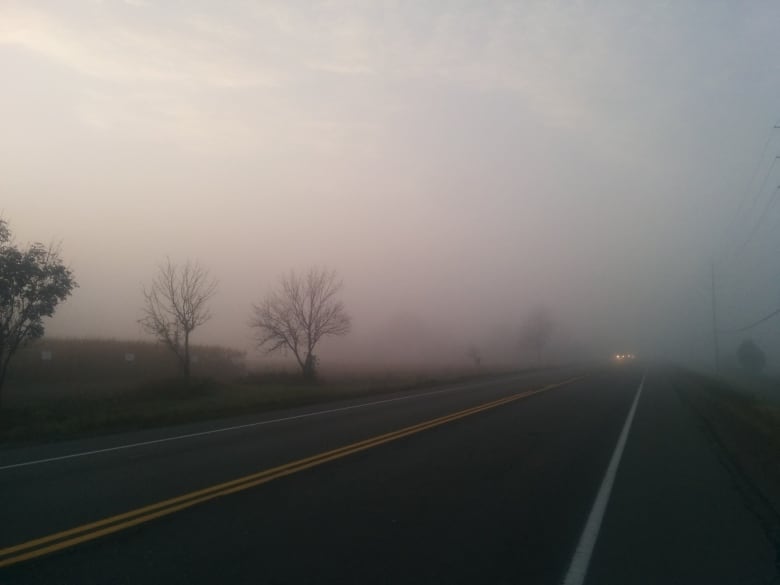 A foggy country road.