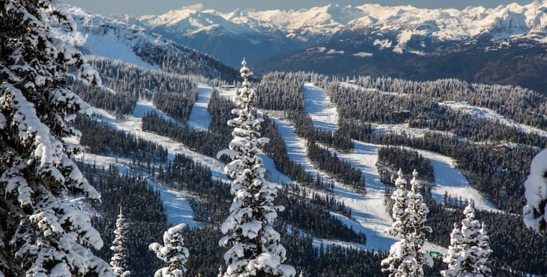 An aerial view of snow-covered trees and ski runs.