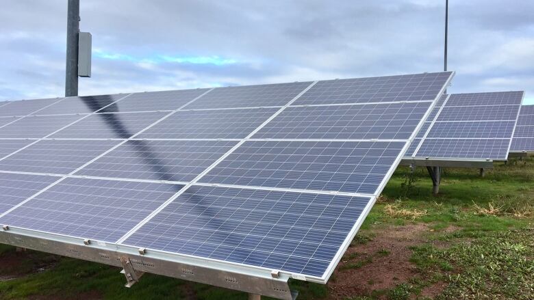 A solar panel is pictured in Prince Edward Island.