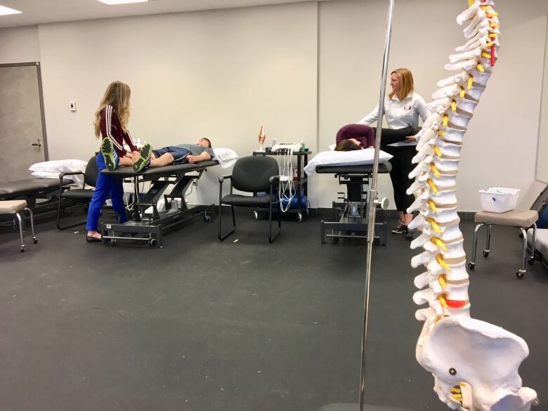 Two physiotherapists working on patients in the background with a model of a spinal column in the foreground.