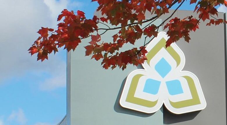 A trillium logo representing Sault College on the side of a grey building with a branch of red maple leaves in the foreground