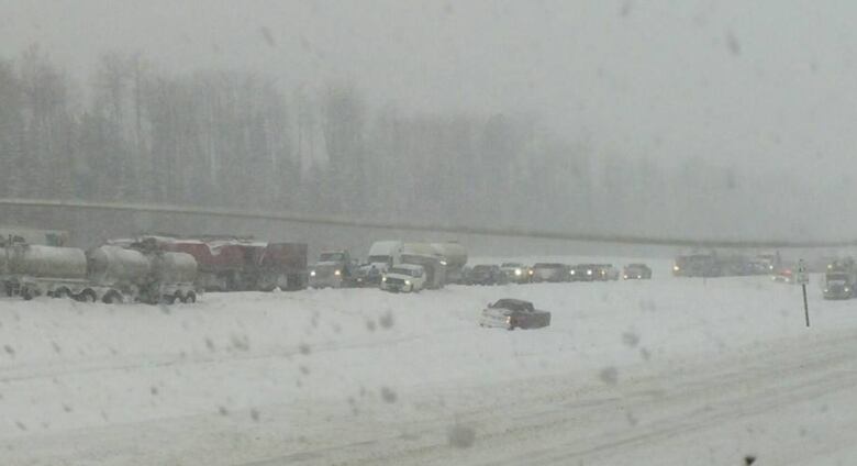 A long line of heavy and light trucks on a rural highway during a snowstorm. 