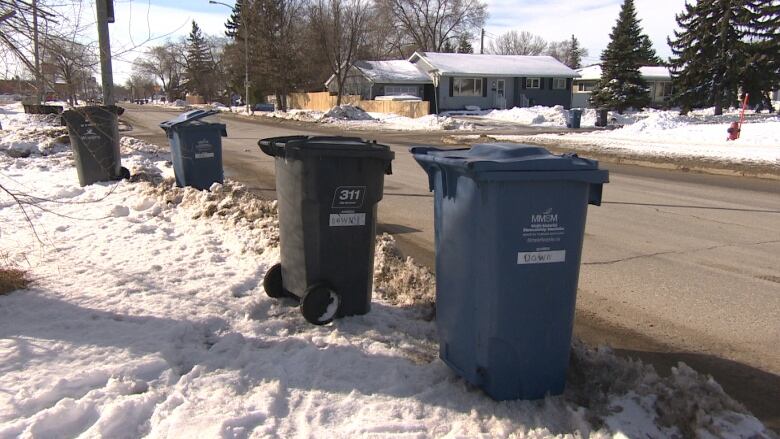 Garbage and recycling bins sit on the snow beside a street in a residential area.