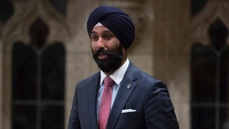 A man in a blue suit and red tie stands up to speak in the House of Commons in Ottawa.