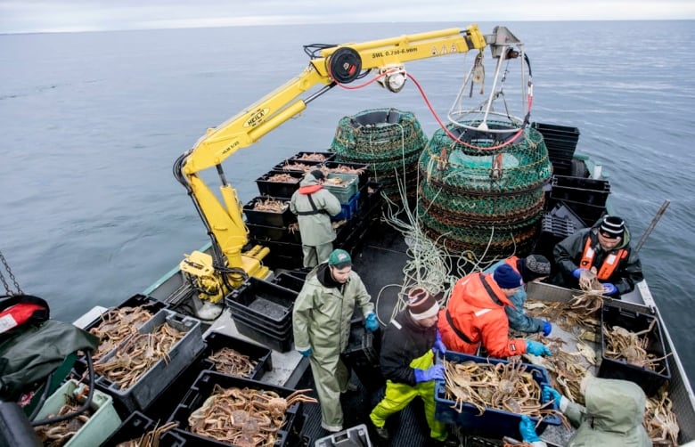 An overhead photo of three people working on a crab boat.