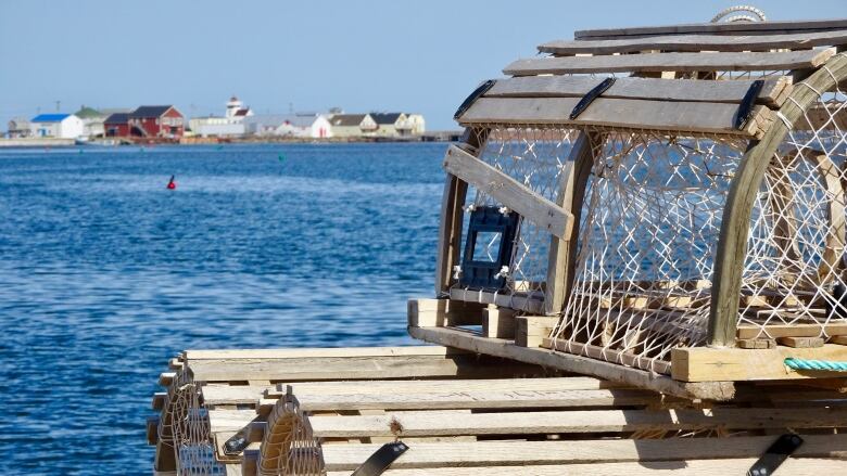 Lobster traps are shown with water and a community in the background.