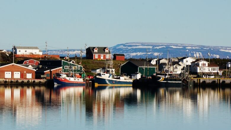 Colourful houses on a shoreline