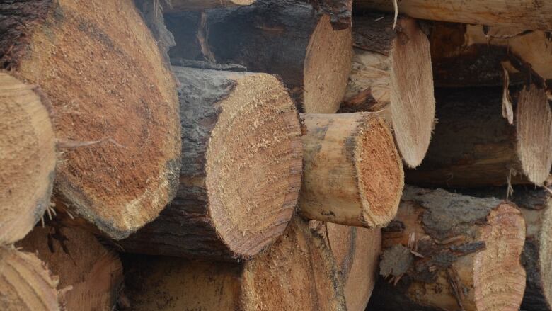 A close up shot of logs in a pile