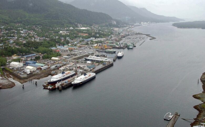 Houses dot a shorefront in this aerial view of a town.